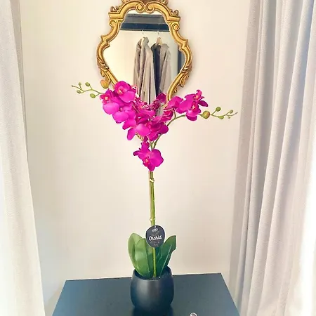 The Flower B&B-3